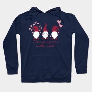 I Love You Gnomes matter what Gnomes Gift for Valentine Hoodie